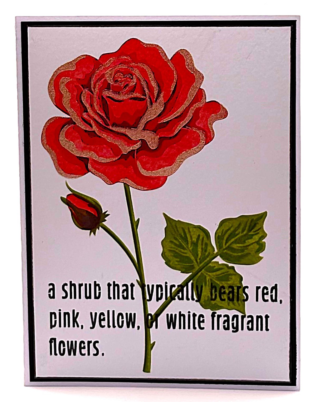 Deep Pink Rose Handpainted Greeting card – Jenny Wren Cards | Handmade ...