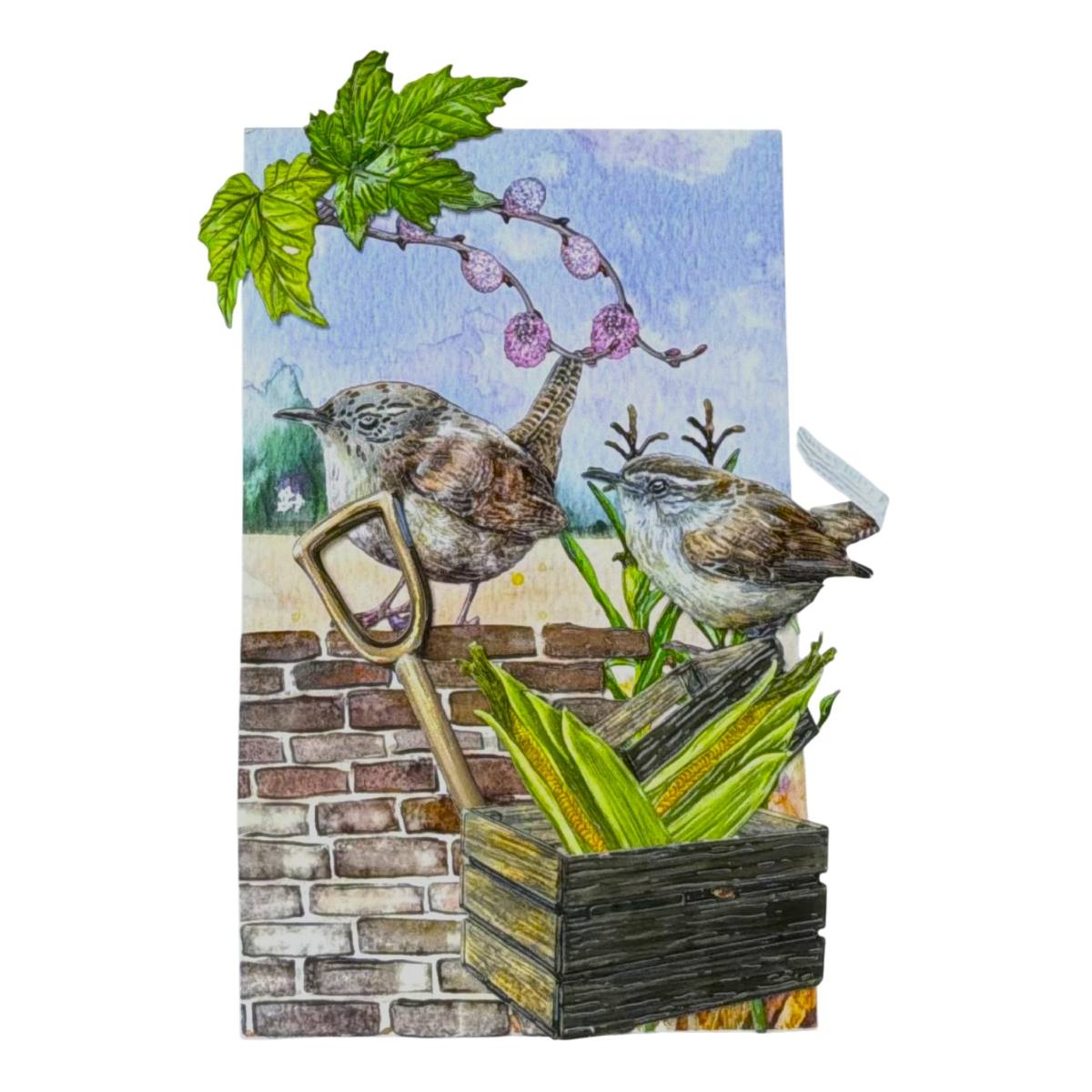 Wrens Handmade Birthday Card